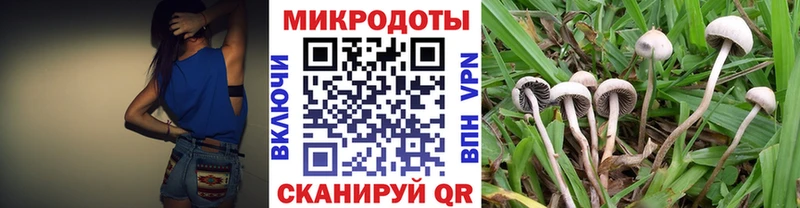 Галлюциногенные грибы Cubensis  Балтийск 